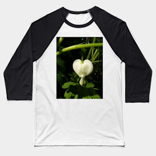 solitary white bleeding heart macro Baseball T-Shirt